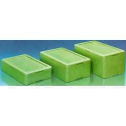 Gastro Combitainer W6 groß