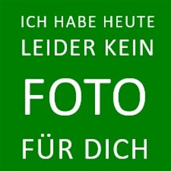 Schmiedeeisen Bratpfanne mit